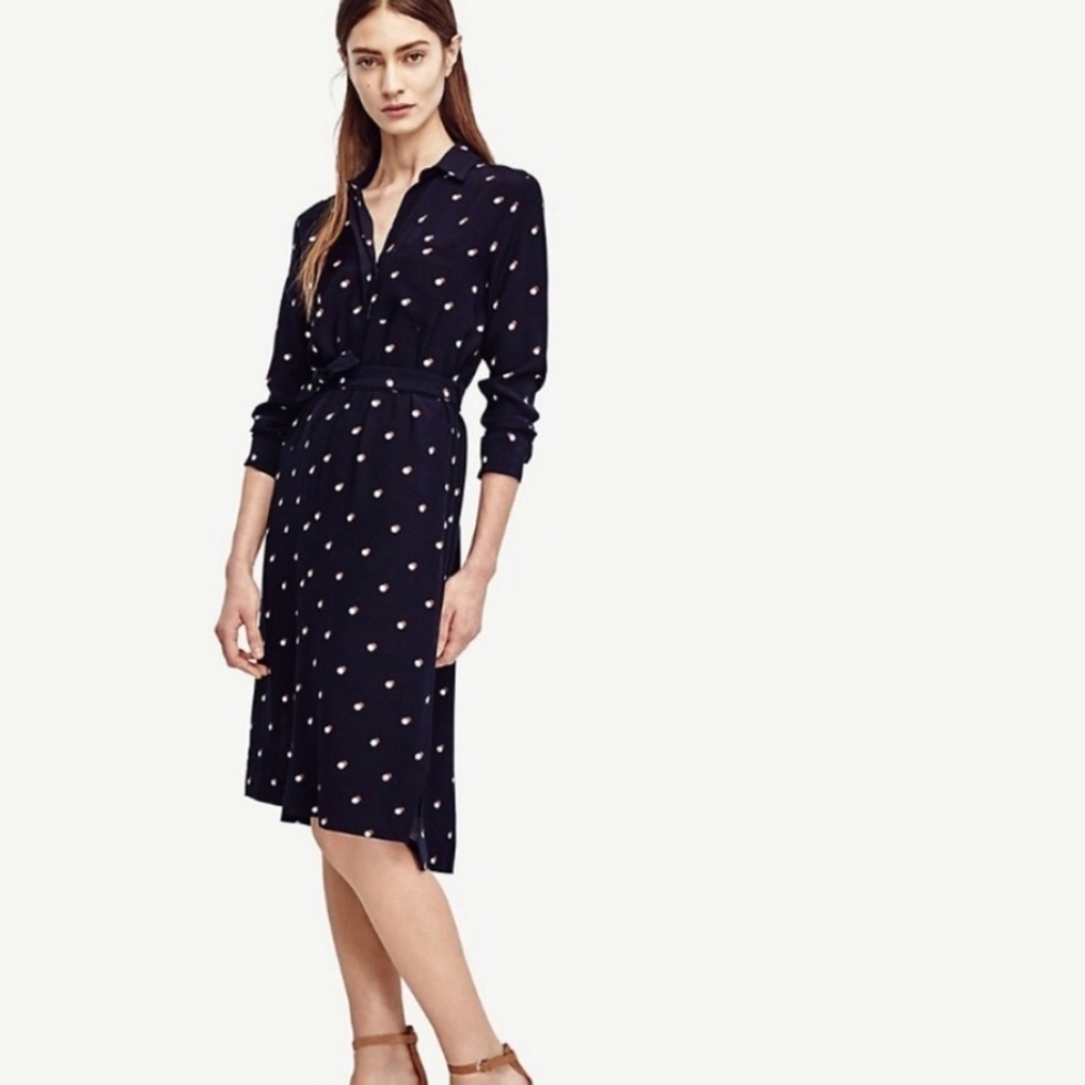 Ann Taylor Rayon Dress